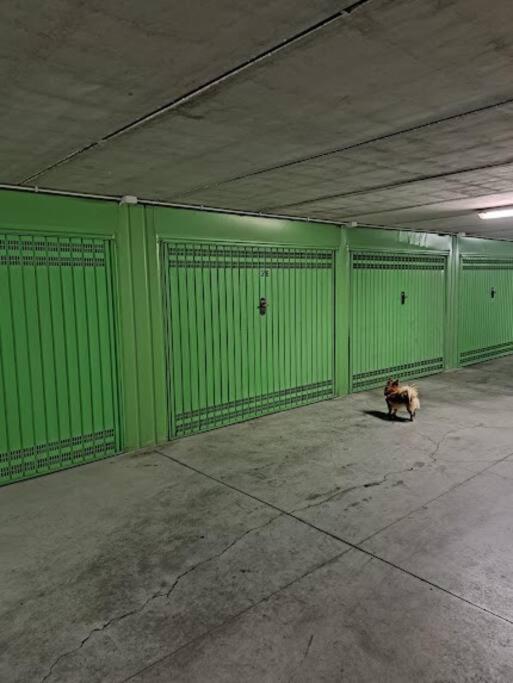 Centrale Vicino Spiagge E Ciclabile + Box-Auto ! Apartment Arma di Taggia Luaran gambar