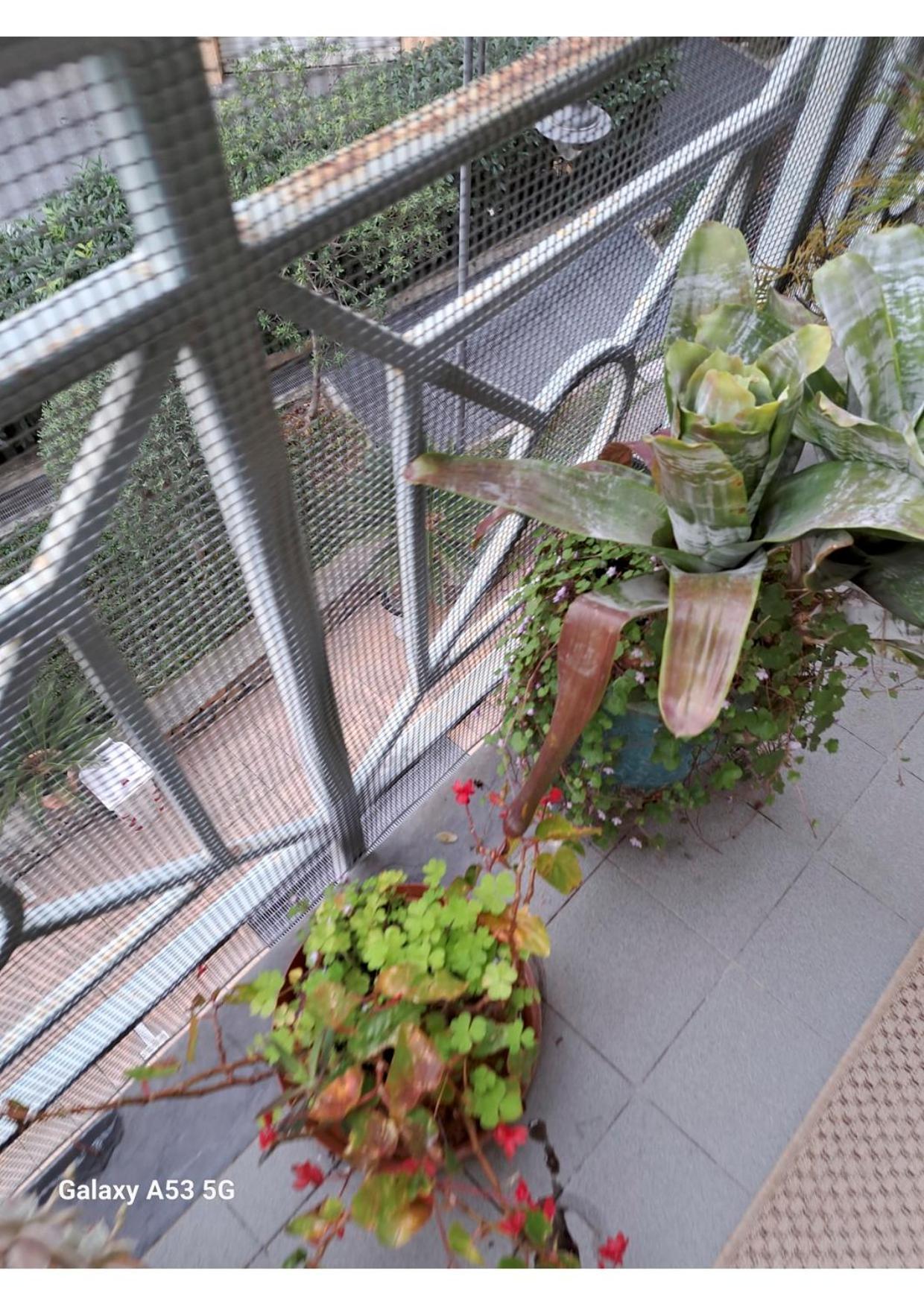 Centrale Vicino Spiagge E Ciclabile + Box-Auto ! Apartment Arma di Taggia Luaran gambar